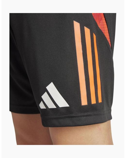 Adidas Gray 25 Competition Training Shorts for men