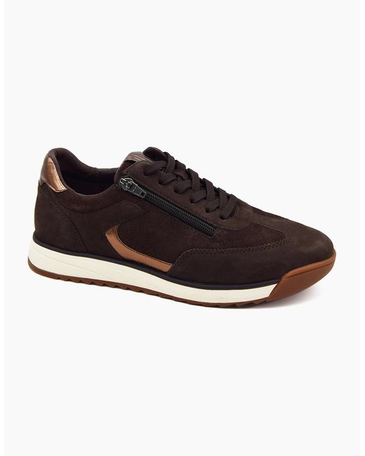 Waldläufer Brown Carmen 575001 Trainers