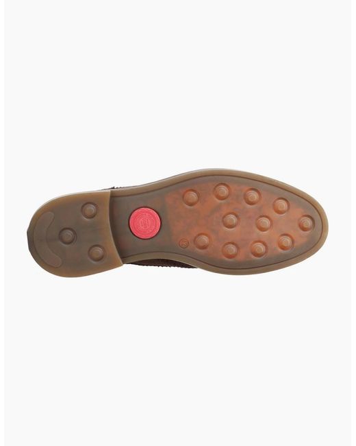 Base London Brown Hatfield Brogues for men