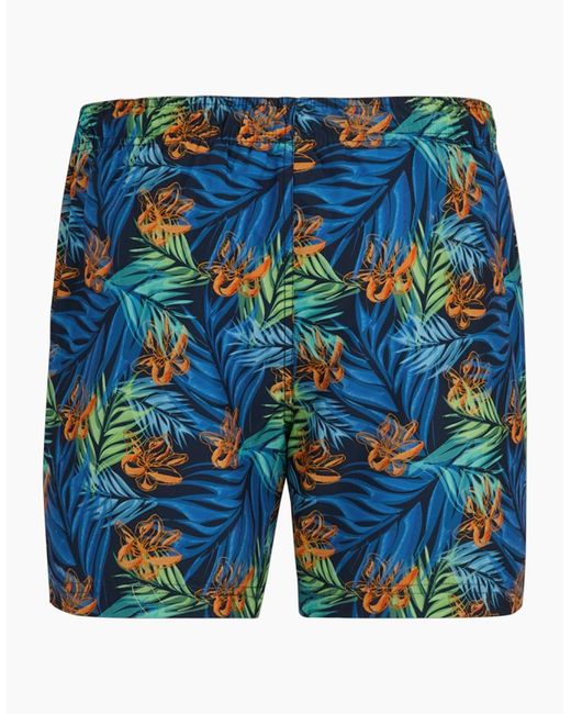 Regatta Blue Loras Tropical Leaves Swim Shorts for men