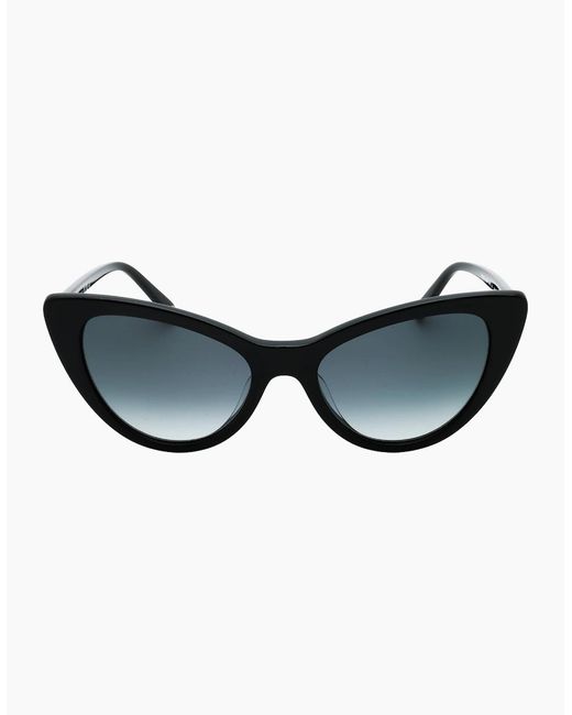 Banana Republic Brown Dark Sf Lens Cat Eye Sunglasses