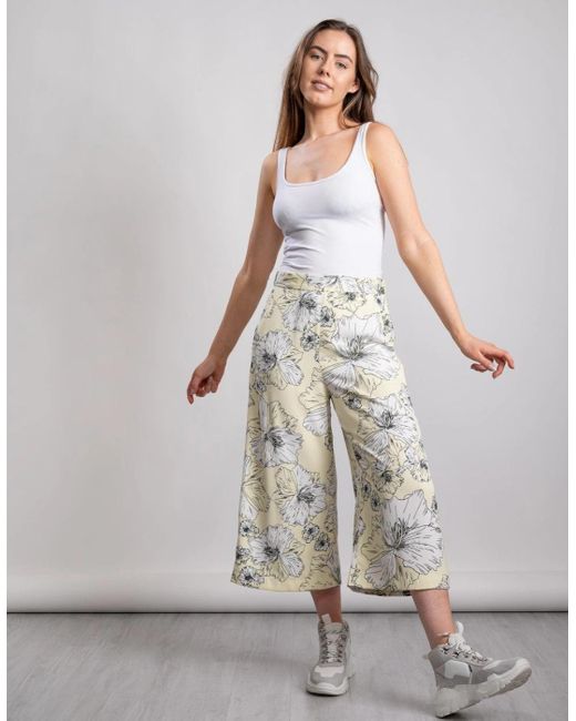 Great Plains Gray Great Plains Tropical Fauna Culotte