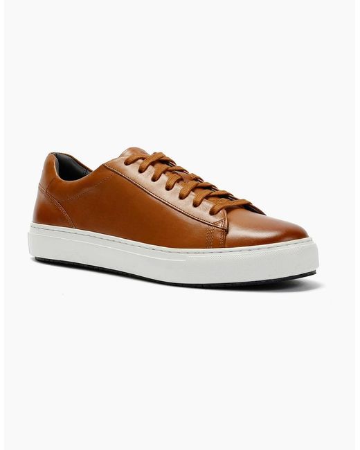 Ben Sherman Brown Ace Cupsole Leather Tan Trainers for men
