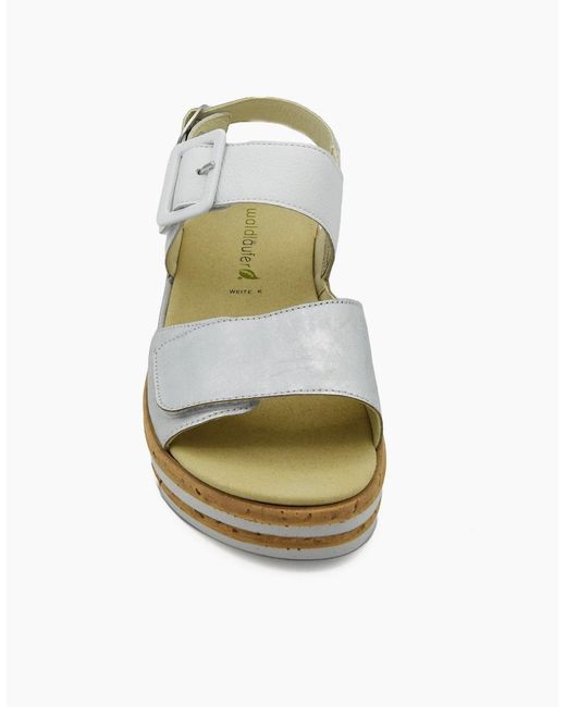 Waldläufer Metallic Arlene 677001 Ladies Sandal