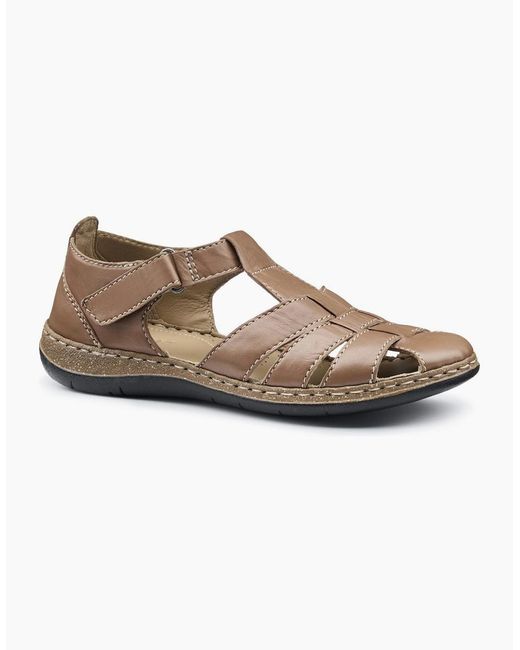 Hotter Brown Sharini Sandals