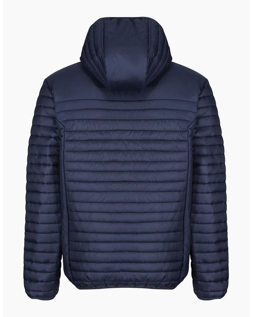 Regatta Blue Professional Padded Jacket for men