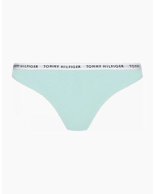 Tommy Hilfiger Blue Cotton 3-Pack Thong, Cranberry/Aqua/Saltwater