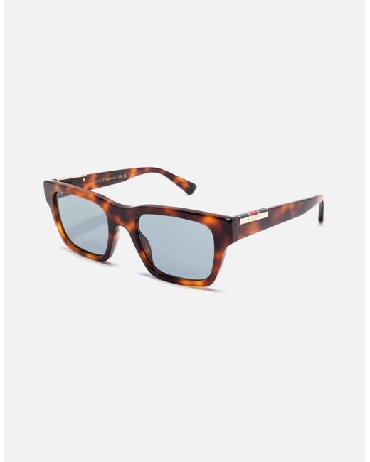 Gucci Blue Webbing Acetate Sunglasses Tortoise