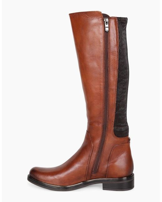 Caprice Brown Locket M Knee High Boots