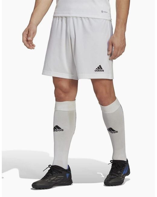 Adidas White Entrada 22 Shorts for men