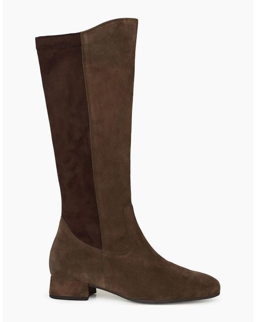 Gabor Brown Dudley (M) Knee High Boots