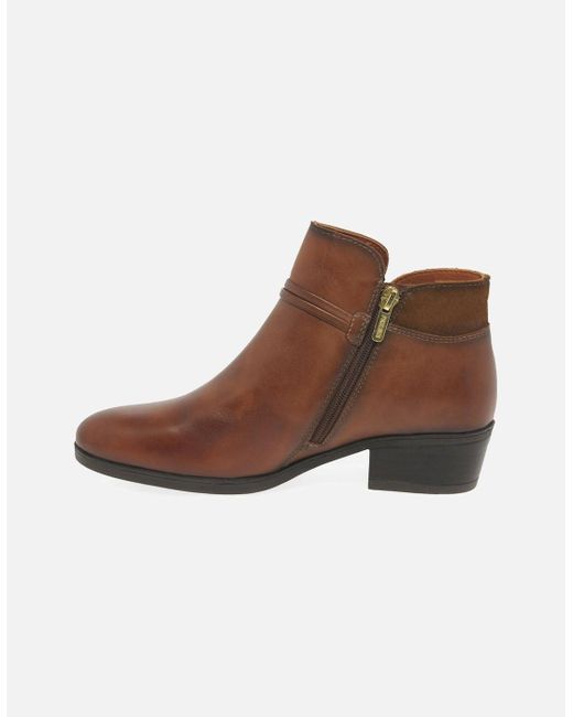 Pikolinos Brown Darcey Ankle Boots