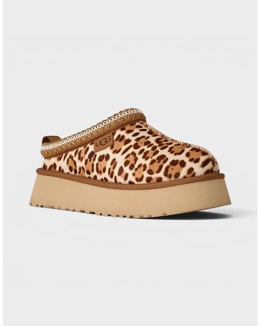 Ugg Brown Tazz Plains Felicity Leopard