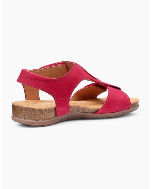 Hotter Pink Rysy Sandals