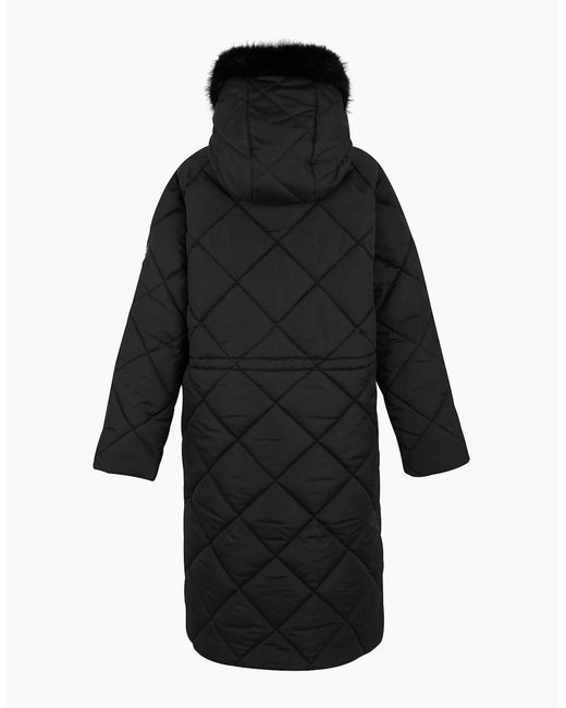 Regatta Black Ladies Freyla Padded Jacket