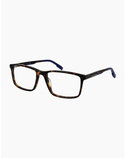 Hackett Brown Optical Frame Hek1311 103 56 for men