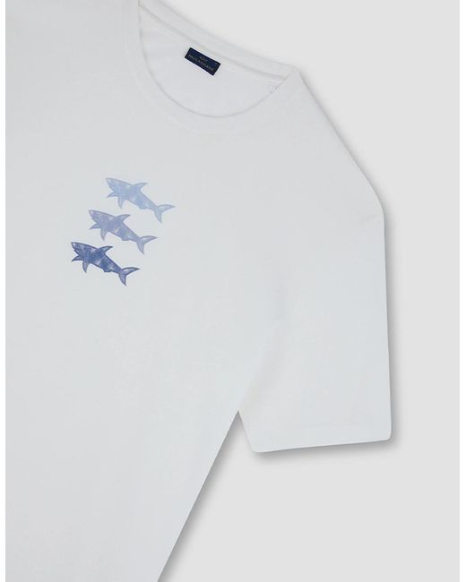 Paul & Shark White Cotton Jersey T-Shirt With Sharks Print for men