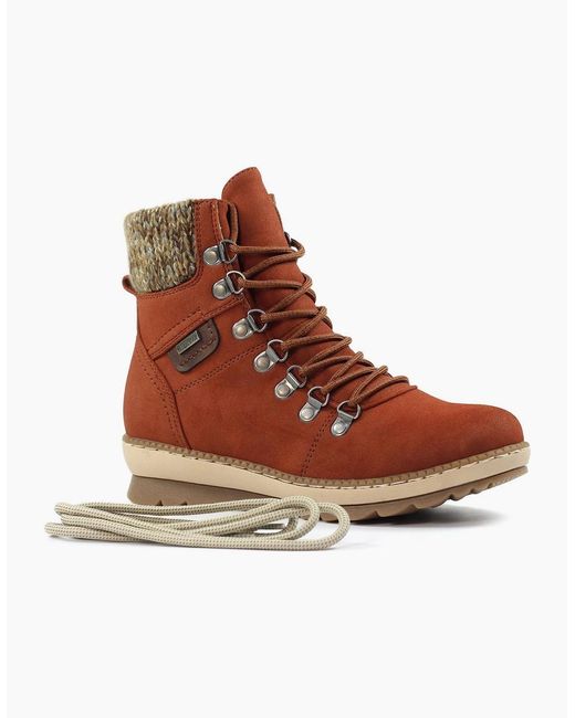 Lunar Brown Candy Ankle Boots