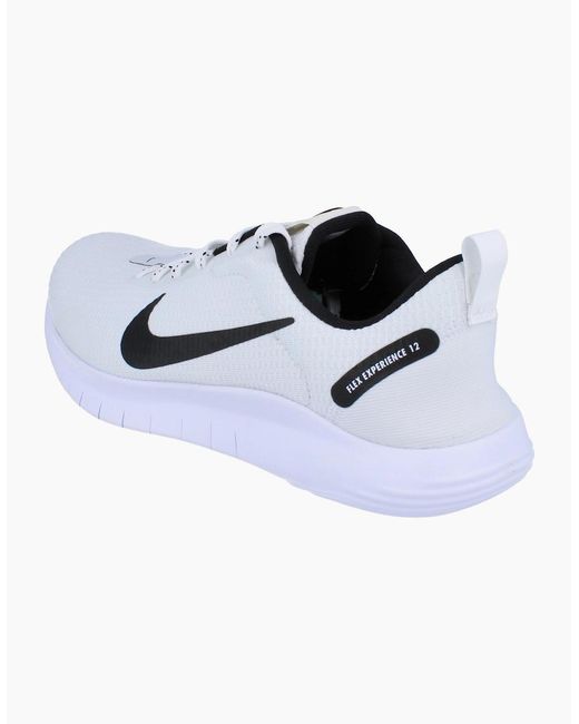 Nike Blue Flex Experience Rn 12 Dv0740 101 for men