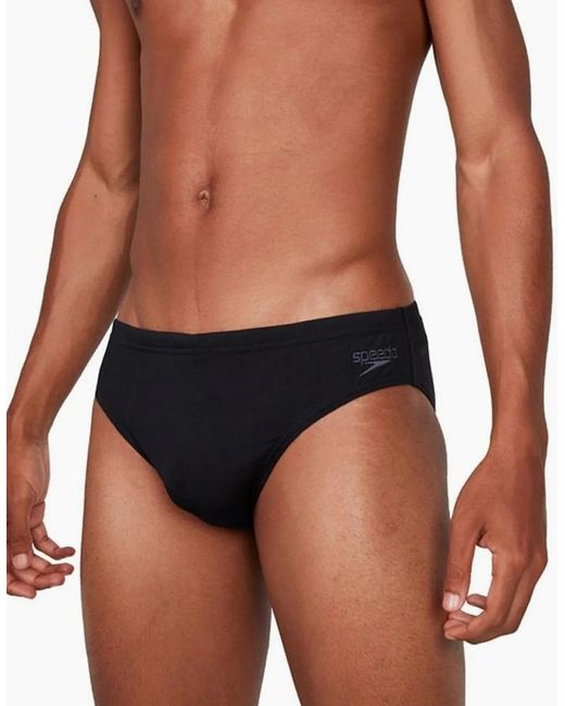 Speedo Blue Eco Endurance+ Swim Briefs for men
