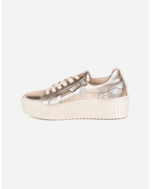 Gabor Natural Dolly Trainers