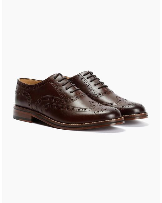 Chapman & Moore Brown Oxford Brogue Leather Mahogany Shoes for men