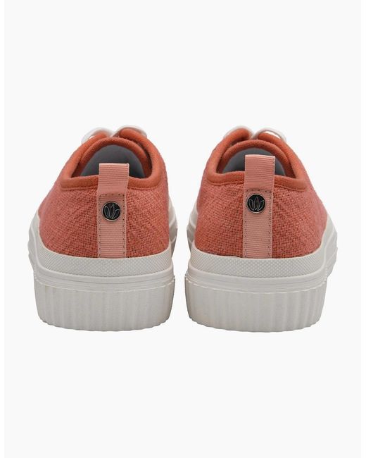 Lotus Pink Aiday Trainers