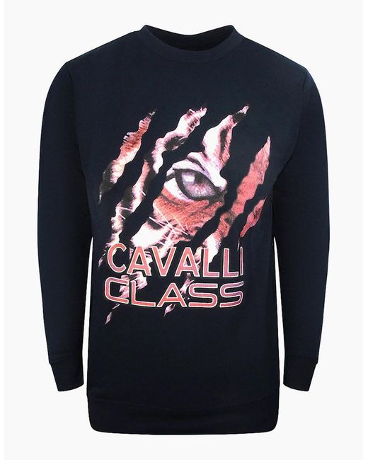 Roberto Cavalli Blue Cavalli Class Peeking Tiger Design Sweatshirt for men