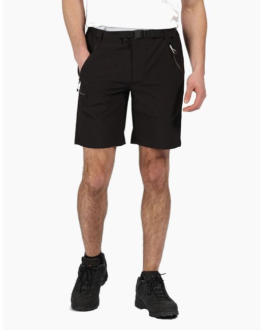 Regatta Black Xert Iii Stretch Shorts for men