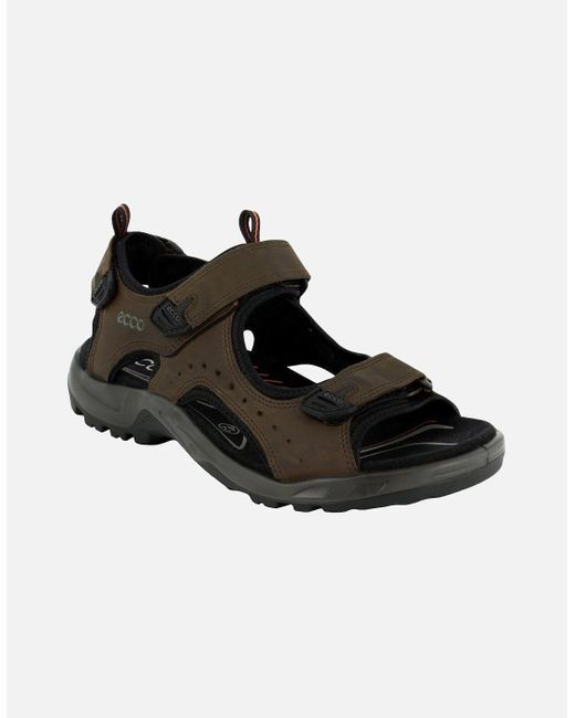Ecco Black Andes Ii Hiking Sandals for men