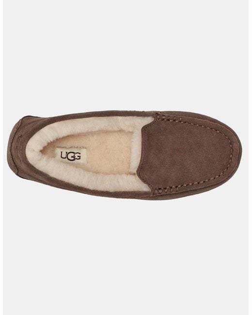 Ugg Brown Ansley Slippers