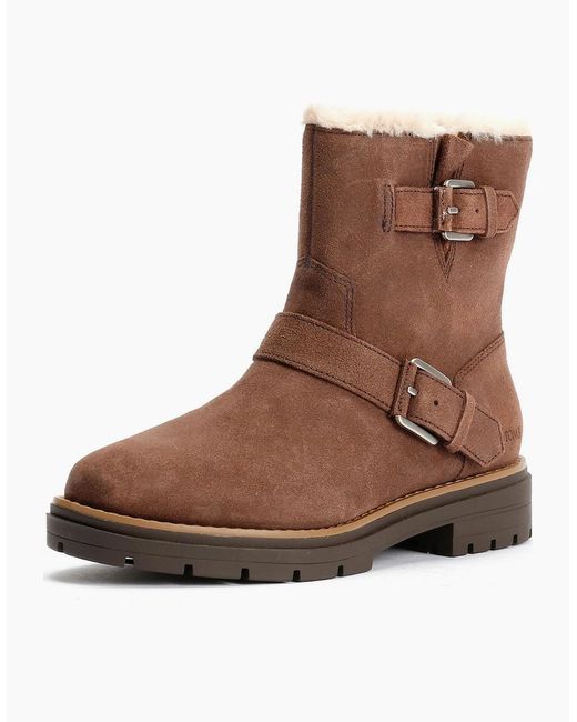 TOMS Brown Ionie Moto Waxy Suede Dark Boots