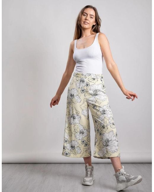 Great Plains Gray Great Plains Tropical Fauna Culotte