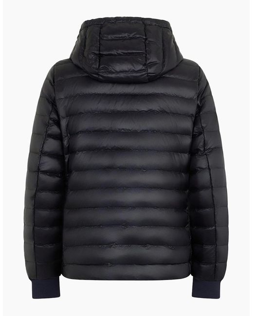 Moose Knuckles Black Cloud Walker Jacket for men