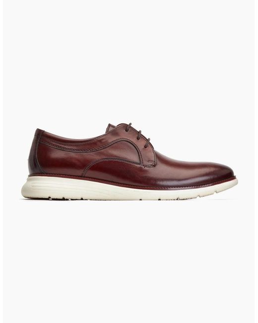 Base London Brown Wing Derby Shoes for men