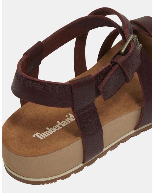 Timberland Brown Malibu Waves Sandals