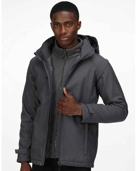 Regatta Blue Erasmus 4 for men