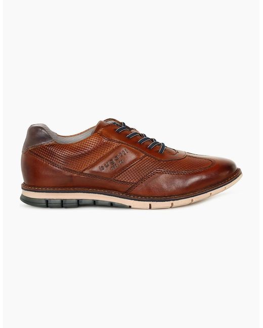 Bugatti Brown Steller Trainers for men
