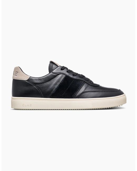 CLAE Blue Adults Low Top Trainers for men
