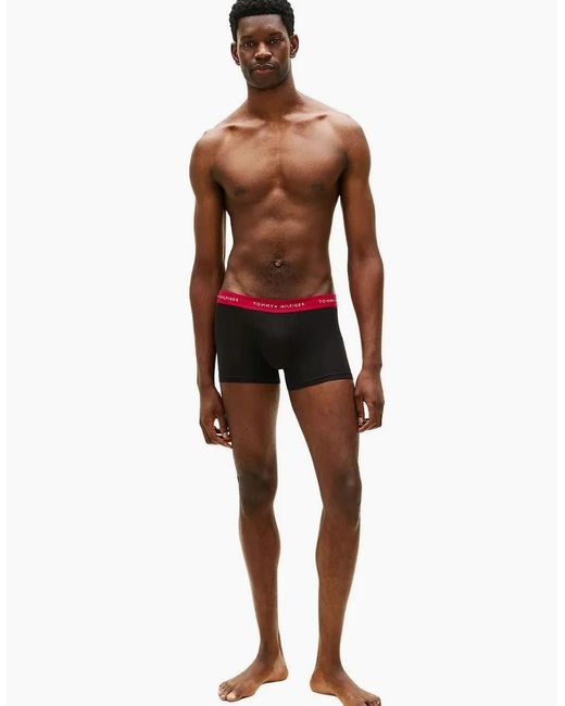 Tommy Hilfiger Blue 3-Pack Signature Cotton Boxer Trunks, W/ Burgundy for men