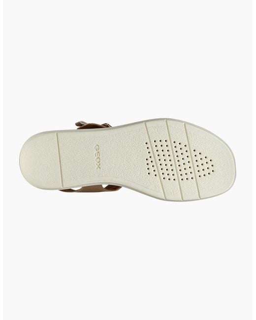 Geox Brown D Camalei Sandals