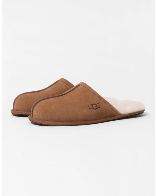 Ugg Brown Scuff Slipper for men