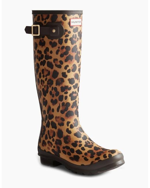 Hunter Brown Original Tall Leopard Wellingtons