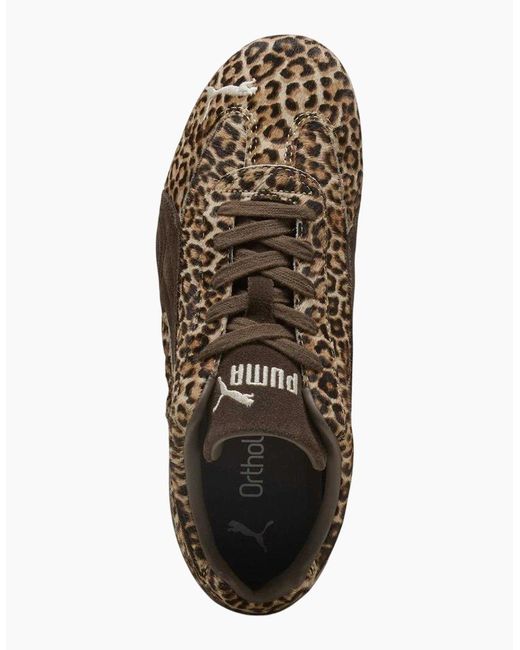 PUMA Brown Ladies Speedcat Leopard Print Flat Trainers