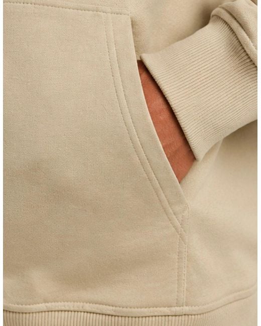 The North Face Natural Standard Half Dome Pullover Hoodie for men