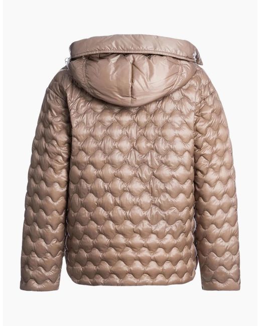 Parajumpers Brown Hooded Jacket