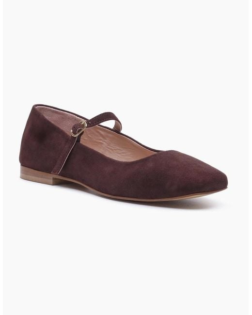 Hush Puppies Purple Pasha Suede Chocolate Flats
