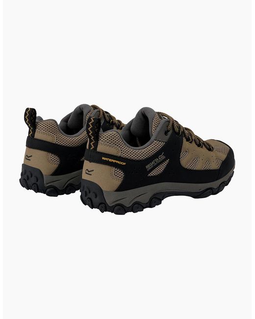Regatta Black Edgepoint Iv Low Walking Shoes for men