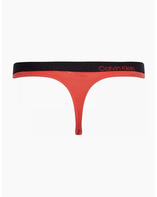 Calvin Klein Ck Reconsidered Comfort Thong, Punch