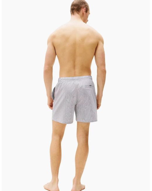 Tommy Hilfiger Gray Original Stripe Mid Length Swim Shorts, Ithaca/Desert Sky for men